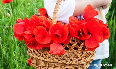 Ημερήσιες Προβλέψεις για όλα τα Ζώδια 27/03