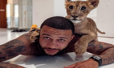 Μυθικός Ντεπάι: Πήρε για κατοικίδιο ένα λιοντάρι (photos)