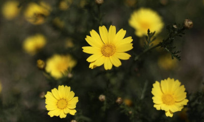 Καιρός: Άνοδος της θερμοκρασίας τη Μεγάλη Δευτέρα