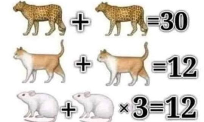 Το κουίζ που θα σε βγάλει… εκτός εαυτού! Μπορείς να βρεις τη λύση;