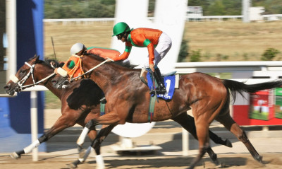 Markopoulo Park: Τρεις νικητές στο ΣΚΟΡ 6 κέρδισαν από 29.610,75 ευρώ