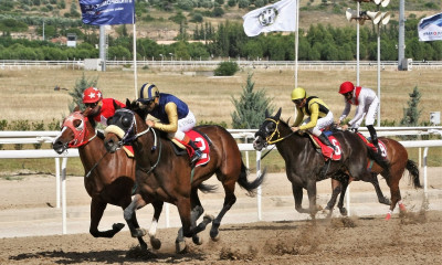 Markopoulo Park: Δέκα καθαρόαιμοι ίπποι διεκδικούν το Κύπελλο Ηνιόχου