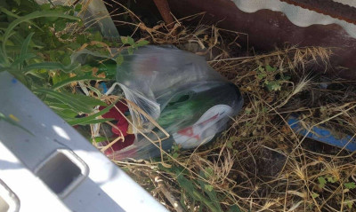 Βρέθηκαν μολότοφ και ξύλινα κοντάρια κοντά στο γήπεδο της ΑΕΚ! (photos)