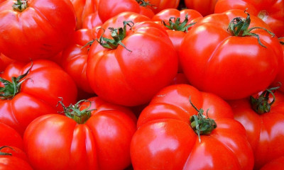 Μην αποθηκεύετε τις τομάτες στο ίδιο σημείο - Αυτός είναι ο λόγος (photos)