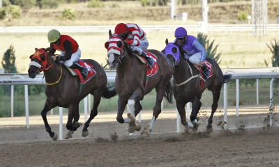 Markopoulo Park: Έντεκα καθαρόαιμοι ίπποι διεκδικούν το Κριτήριο Τριετών