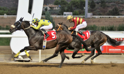 Οκτώ ιπποδρομίες και τρία ΣΚΟΡ τη Δευτέρα στο Markopoulo Park