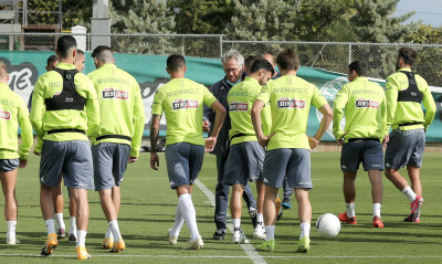 Παναθηναϊκός: Βίντεο και παρατηρήσεις Μπόλονι για επίθεση και στημένα!