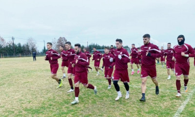 ΑΕΛ: Κανονικά ο Πλατέλλας