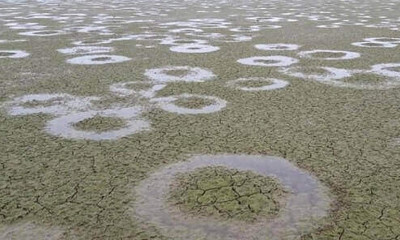 Μυστήριο στη λίμνη Κερκίνη: Εμφανίστηκαν εκατοντάδες τέλειοι κύκλοι (video)