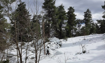 Σε κατάσταση έκτακτης ανάγκης ο Ωρωπός