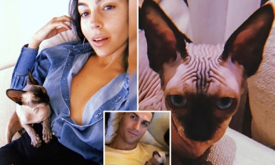 Κριστιάνο: Χτύπησαν τον γάτο του και τον έστειλε σε νοσοκομείο της Ισπανίας με ιδιωτικό τζετ!