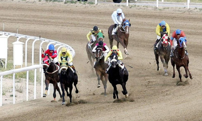 Αγανάκτηση σε 2.000 επαγγελματίες του ιπποδρόμου: Γιατί παραμένει κλειστός, ενώ ανοίγουν τα πάντα;