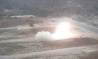 Βόλος: Βλήμα ξέφυγε από πεδίο βολής και σκότωσε κοπάδι με πρόβατα