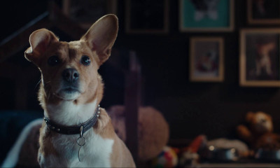 O πιο πιστός φίλος του Euro είναι ο... Rex της Stoiximan (Video)