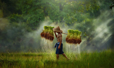 Αδιανόητο: Καθάριζαν το χωράφι τους και είδαν τον τρόμο με τα μάτια τους - Τι βρέθηκε (photos)