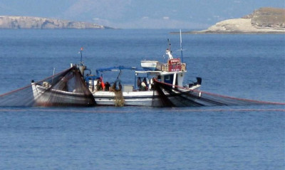 Έπιασαν «θηρίο» που ζυγίζει 85 κιλά - Δεν το πίστευαν οι ψαράδες