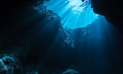 Έμειναν με το στόμα ανοιχτό - Ψάρεψαν «θηρίο» 300 κιλών