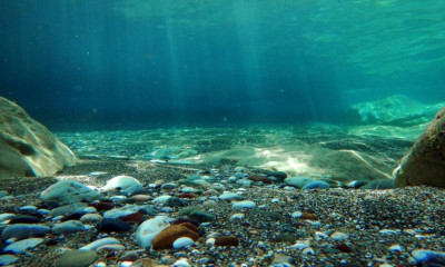Ψαράδες έπιασαν... ένα τέρας - Δεν θα πιστεύετε στα μάτια σας