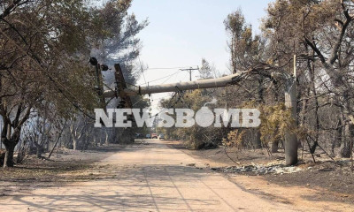 Φωτιά ΤΩΡΑ: Κίνδυνος για διακοπές ρεύματος στην Αττική από την πυρκαγιά στο Κρυονέρι