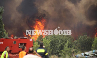 Φωτιά στην Αττική: Εκκενώνονται Πολυδένδρι, Καπανδρίτι, Μαλακάσα - Αναζωπύρωση στο Κρυονέρι