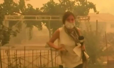 Φωτιά στην Εύβοια: Ρεπόρτερ της ΕΡΤ σώζει γατάκι από τις φλόγες