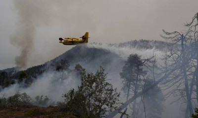 Φωτιά στην Ηλεία: Αναζωπυρώσεις σε τρεις περιοχές του Δήμου Αρχαίας Ολυμπίας