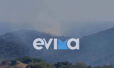 Φωτιά στις Πετριές Εύβοιας - Συναγερμός στην πυροσβεστική