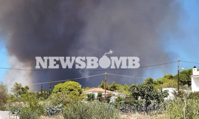 Φωτιά στην Κερατέα: Μεγάλο και ενιαίο το μέτωπο - Μάχη για να μην καεί ο Εθνικός Δρυμός του Σουνίου