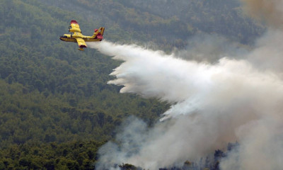 Συναγερμός στα Βίλια: Η φωτιά πλησιάζει απειλητικά τον οικισμό - «Κοντά στα πρώτα σπίτια η πυρκαγιά»