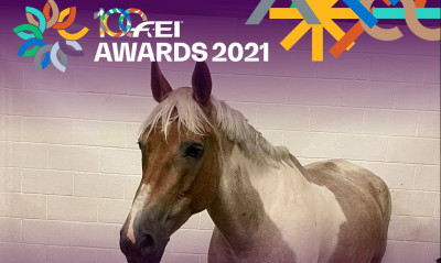 Η ΕΟΙ υποψήφια στα FEI Awards!