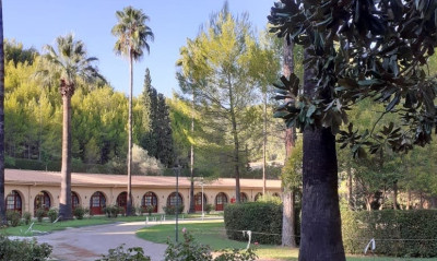 ΔΟΕ: Την Κυριακή τα εγκαίνια των νέων εγκαταστάσεων στην Αρχαία Ολυμπία – Παρών ο Μπαχ