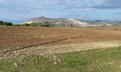 Ολυμπιακός Βόλου: Συνεχίζονται οι εργασίες στο προπονητικό στον Αγ. Γεώργιο