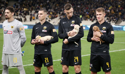 ΑΕΚ: Μεγάλη η ανταπόκριση για την υιοθεσία των κουταβιών – Αίτηση και δυο «κιτρινόμαυροι»