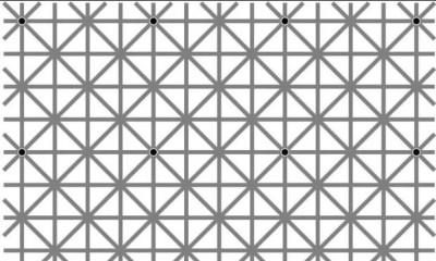 Υπάρχουν 12 τελείες στην φωτογραφία αλλά δεν μπορείτε να τις δείτε όλες αμέσως (photos)