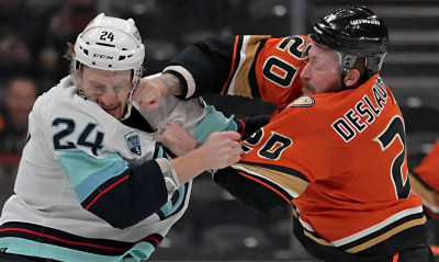 ΗΠΑ: Αδιανόητο ξύλο σε αγώνα χόκεϊ (photos+video)