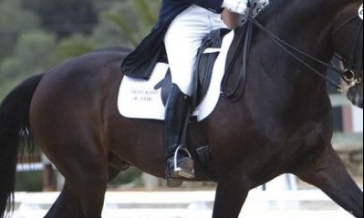 Πόλεμος στην Ουκρανία: Οι κυρώσεις της Διεθνής Ιππικής Κοινότητας σε Ρωσία, Λευκορωσία