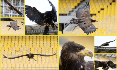 ΑΕΚ: Οι πτήσεις του Οδυσσέα στην «Αγιά Σοφιά» (photos)