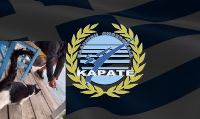 ΕΛΟΚ για την κακοποίηση γάτας στην Αιδηψό: «Αποτρόπαια πράξη ο βασανισμός ζώων. Θα δράσουμε»