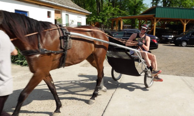 NBA: MVP και πάλι ο Γιόκιτς – Σε… στάβλο η απονομή (photos+video)