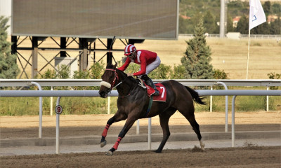Μοίρασαν μεγάλα κέρδη οι ελληνικές ιπποδρομίες στο Markopoulo Park