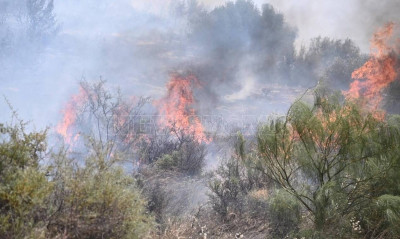 Πυρκαγιά στη Γλυφάδα - Οι πρώτες εικόνες και βίντεο