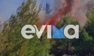 Φωτιά τώρα στην Εύβοια: Εκκενώνεται το Κρεμαστό