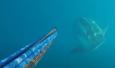 Βούτηξε για ψαροντούφεκο και ήρθε αντιμέτωπος με «θηρίο» (photos+video)