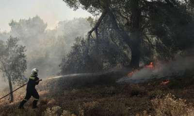 Φωτιά στα Μέγαρα: Πυροσβέστης με αναπνευστικά προβλήματα λόγω του καπνού