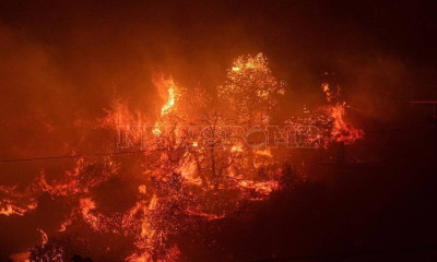 LIVE Blog: Στη Διώνη το βασικό μέτωπο – Διάσπαρτες εστίες στην Ανθούσα και το Ντράφι