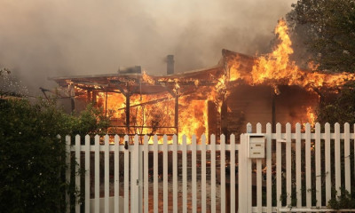 Παναθηναϊκός ΟΠΑΠ: Το μήνυμα του Γκουντάιτις για τις φωτιές στην Αττική