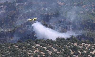 Live Blog: Καλύτερη εικόνα στα μέτωπα Ηλείας, Έβρου, Μυτιλήνης - Νέες πυρκαγιές σε Αττική και Κρήτη