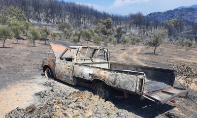 Φωτιά Ηλεία: Παντού στάχτη, απόγνωση και καταστροφή