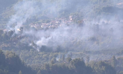 Φωτιά: Το Newsbomb.gr στην πολύπαθη Ηλεία - Εικόνες και βίντεο από τη μάχη με την πύρινη κόλαση