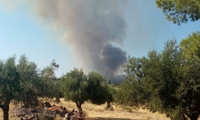 Φωτιά στη Μάνδρα: Εκκενώνονται οι οικισμοί Νέα Ζωή και Νέος Πόντος